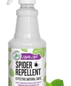 Eucalyptus Oil Spider Repellent