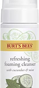 Gentle 8 oz Creamy Argan Oil Cleanser for Pure Skin