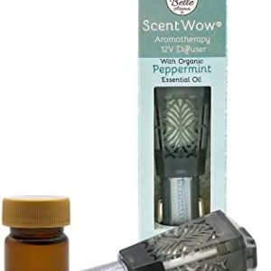 ?Portable 12v Oil Diffuser?