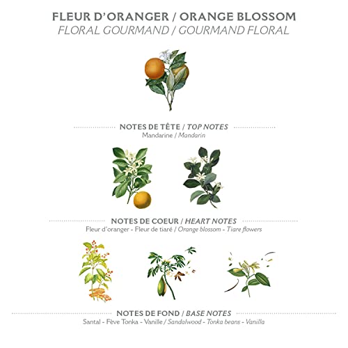 Luxurious Hand Cream for Ultimate Hydration and Nourishment 2 oz - Image 3