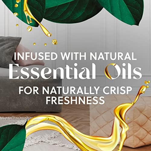Airwick Oil Diffuser Packs ? Long-lasting scents for your home. - Image 3