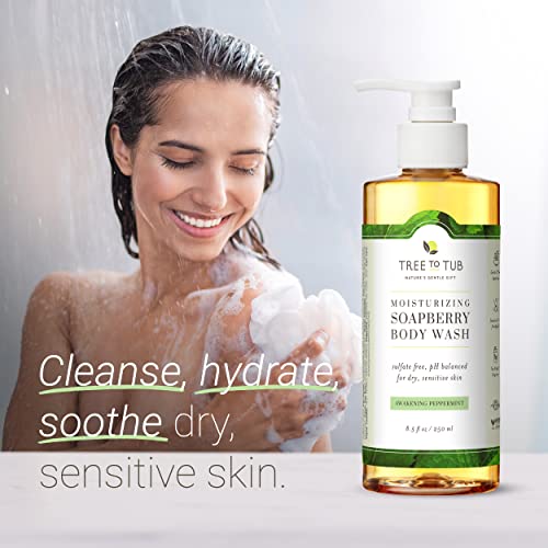 Ph Balanced Natural Body Wash - Image 2