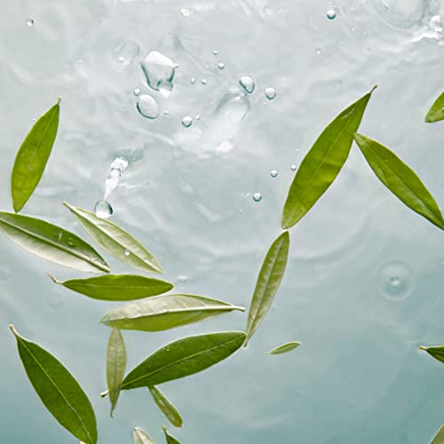 1L Korres Olive Oil Shower Gel - Image 3