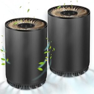 2-in-1 Air Purifier and Essential Oil Diffuser for Clean Air and Aromatherapy