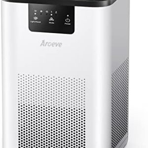 ?2-in-1 Air Purifier & Oil Diffuser?