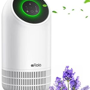 ?2-in-1 Air Purifier with Essential Oil Diffuser?