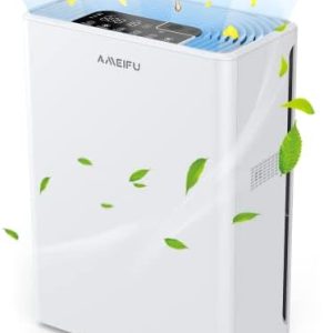 Air Purifier vs Oil Diffuser: Which to Choose?