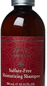 Moroccan Argan Oil Sulfate-Free Shampoo 16 oz for Healthy Shiny Hair