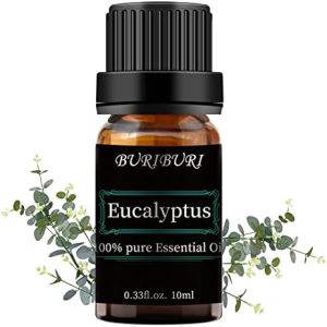 ?Argan Oil Diffuser for Aromatherapy?