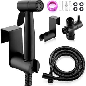 Ebay Bidet Toilet Spray ? Buy Now!