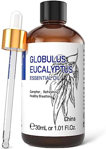 Eucalyptus Oil: Benefits and Drawbacks