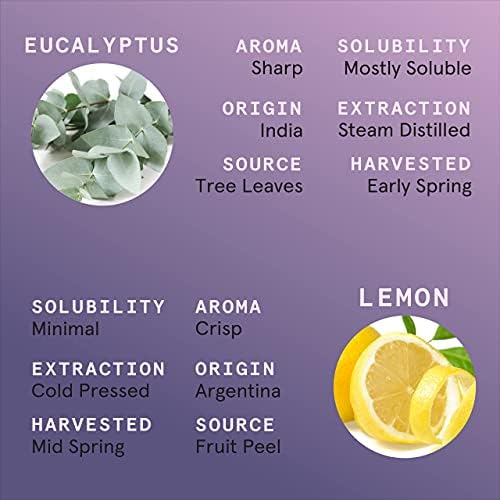 10ml Essential Oil Blend Set for Spa Diffusers - Relaxation Aromatherapy - Image 4