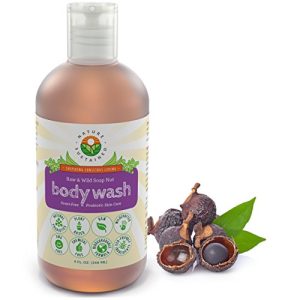 Probiotic Body Wash for Healthy, Radiant Skin - 16 oz Bottle