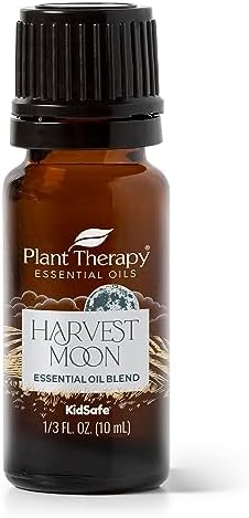 Fall Pumpkin Diffuser 300ml Capacity Aromatherapy Essential Oil Device