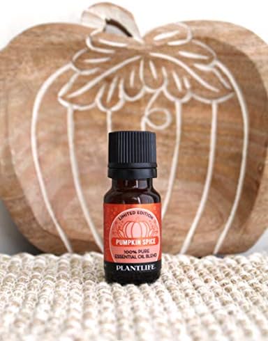 ?Pumpkin Spice Oil Blend for Diffuser? - Image 2