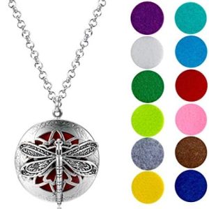 Get a Free Oil Diffuser Necklace!