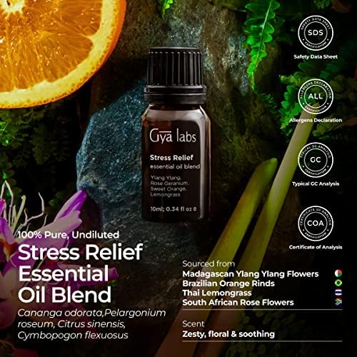 Get a Free Essential Oil Diffuser Now! - Image 6