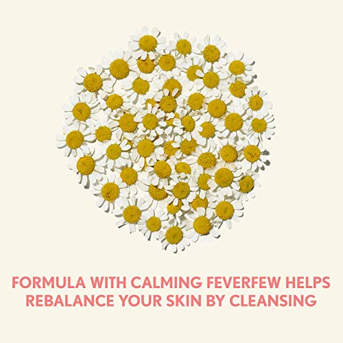 Aveeno Calm & Restore Body Wash: Soothes and Replenishes - Image 2