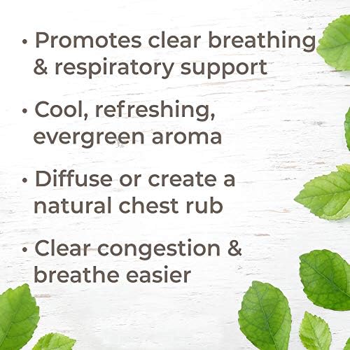 ?Allergy Relief Essential Oil Diffuser? - Image 2