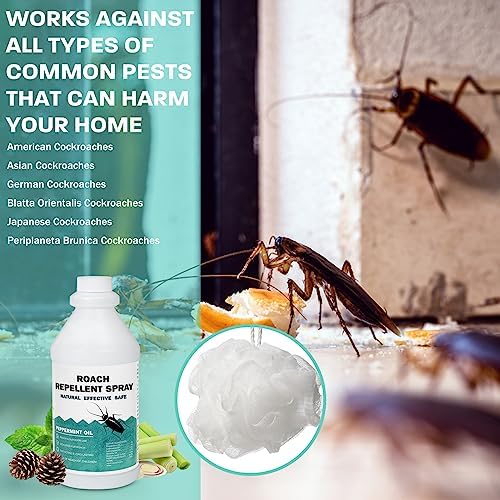 Eucalyptus Oil for Bed Bug Control - Image 4
