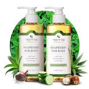 Ph Balanced Natural Body Wash