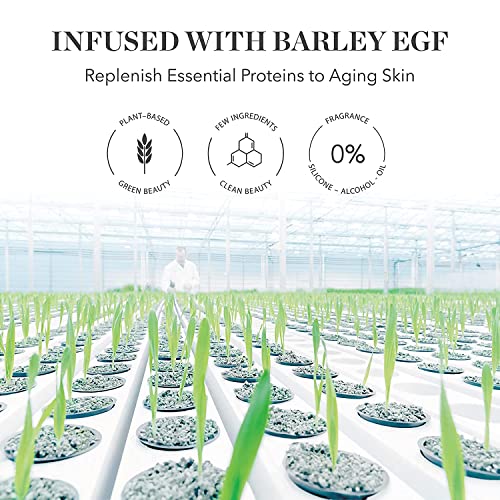 ?Bioeffect Anti Ageing: Youthful Skin Solution? - Image 4