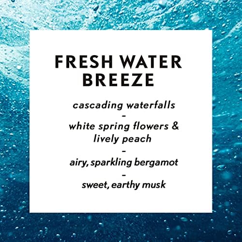 Air Wick Oil Diffuser Refill ? Freshens and purifies air. - Image 2