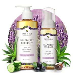 Dollar Tree Body Wash: Affordable and Convenient