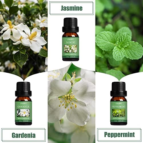 Fresh House Oil Blend for Diffuser - Image 3