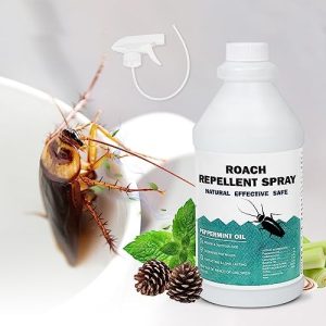 Eucalyptus Oil for Bed Bug Control