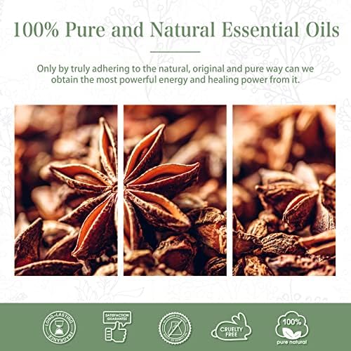 Luxurious candle infused with nourishing argan oil. - Image 6
