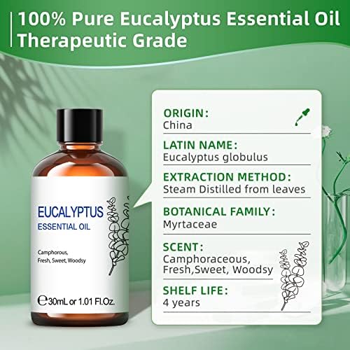 Eucalyptus Oil: Benefits and Drawbacks - Image 3