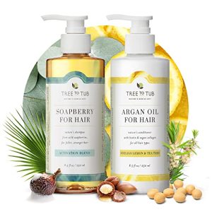 Argan Oil Shampoo and Conditioner Set, Hydrating Formula, 16 oz Bottles