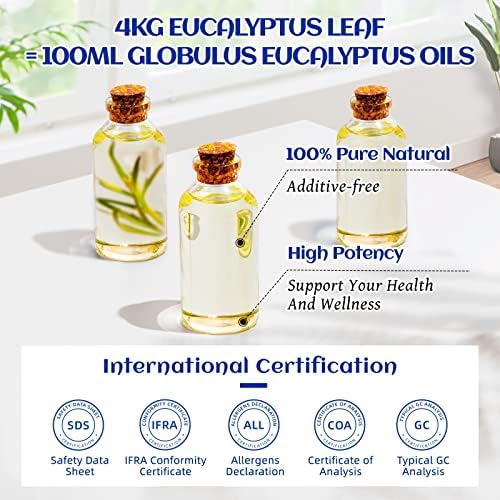 Minty Eucalyptus Essential Oil - Image 5