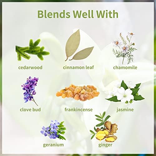 10ml Pure Air Purifier & Diffuser Essential Oil Blend - Image 6