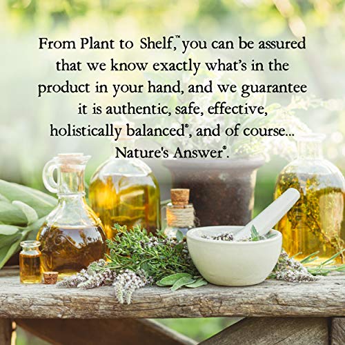 Coconut Vanilla Body Wash by Nature Love - Image 6
