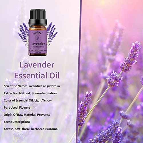 Kunzea Essential Oil 10 Unique Aromatherapy Blend Recipes for Diffusers - Image 2