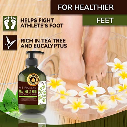 Ahava Tea Tree Oil Foot Cream 3.4 oz Moisturizes and Refreshes Tired Feet - Image 6