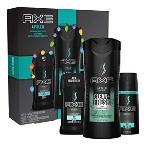 Axe Body Wash Trio Set 3 Fresh Scents with Exfoliating Shower Tool