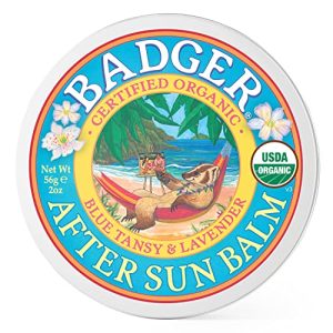 Moisturizing hand cream by Badger