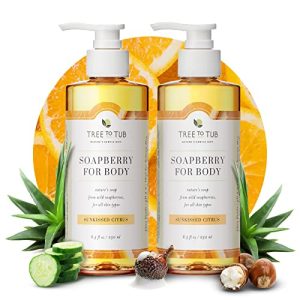 Luxurious Fruity Body Wash for a Refreshing Shower Experience
