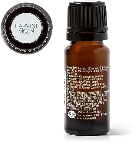 Fall Pumpkin Diffuser 300ml Capacity Aromatherapy Essential Oil Device - Image 2