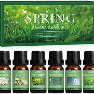 Fresh House Oil Blend for Diffuser