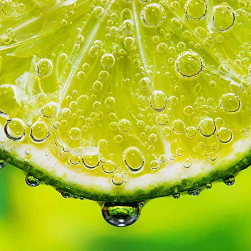Luxurious French Lime Blossom Essence Body Cream 16 Oz - Image 5