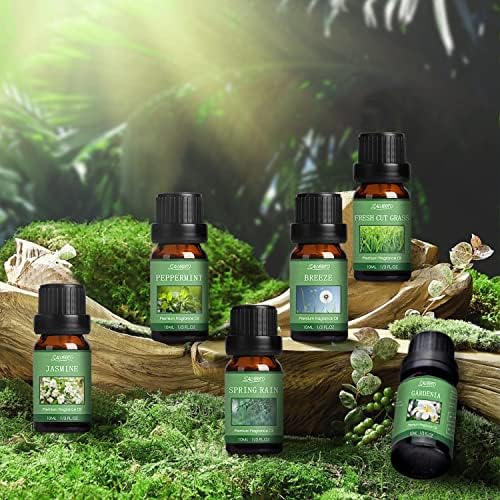 Fresh House Oil Blend for Diffuser - Image 2