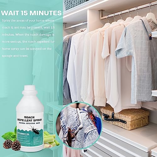Eucalyptus Oil for Bed Bug Control - Image 5