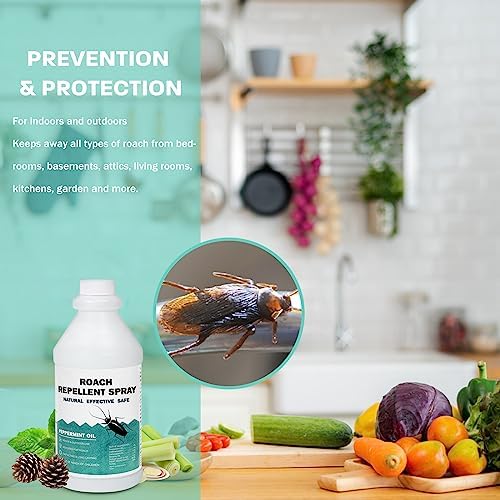 Eucalyptus Oil for Bed Bug Control - Image 3