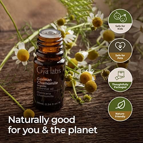 German Chamomile Oil Diffuser Recipes - Image 6