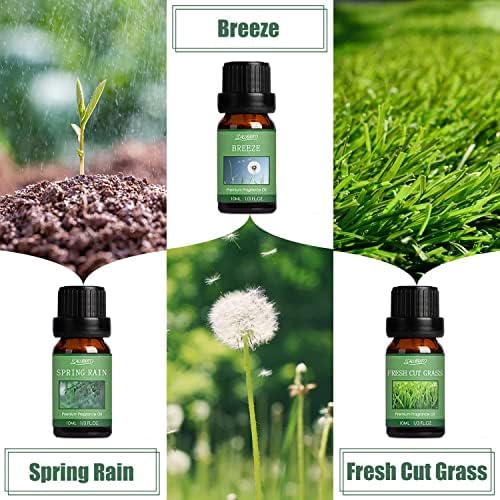 Fresh House Oil Blend for Diffuser - Image 4