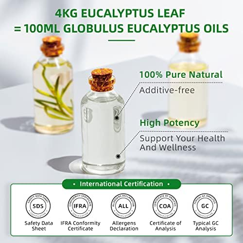Eucalyptus Oil: Benefits and Drawbacks - Image 4